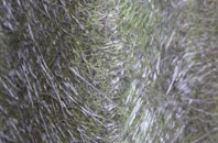 Compton Greenfield fibreglass roof work